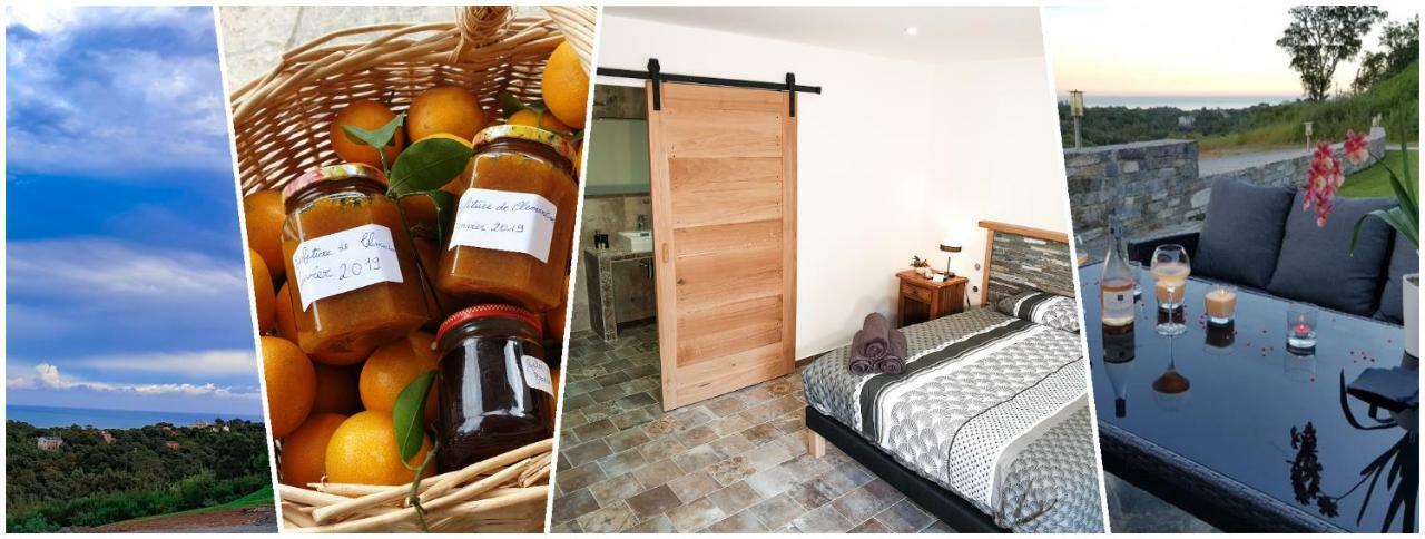 Casa Petre E Fiori Hotel Cervione Ngoại thất bức ảnh